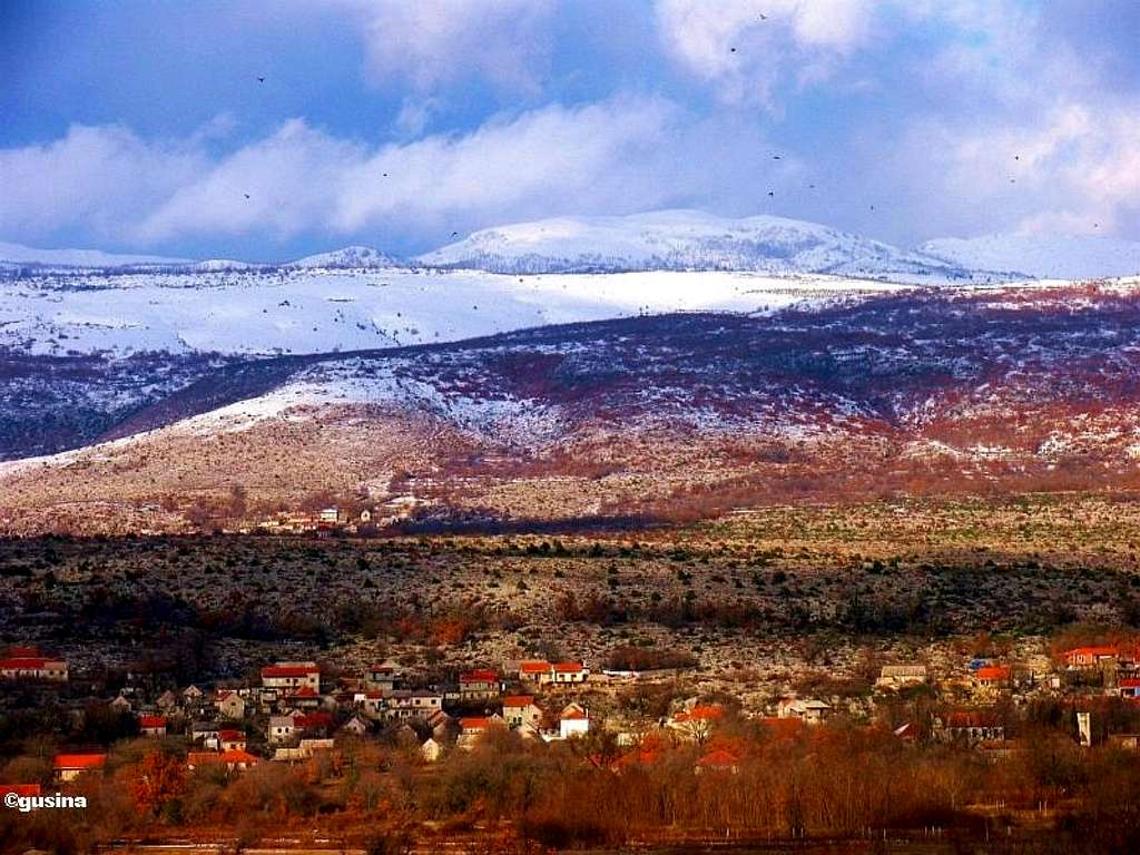 Ogorje