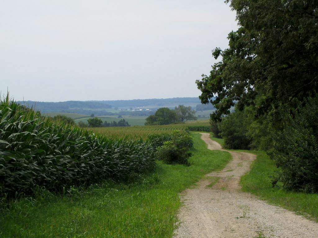 the trail (road)