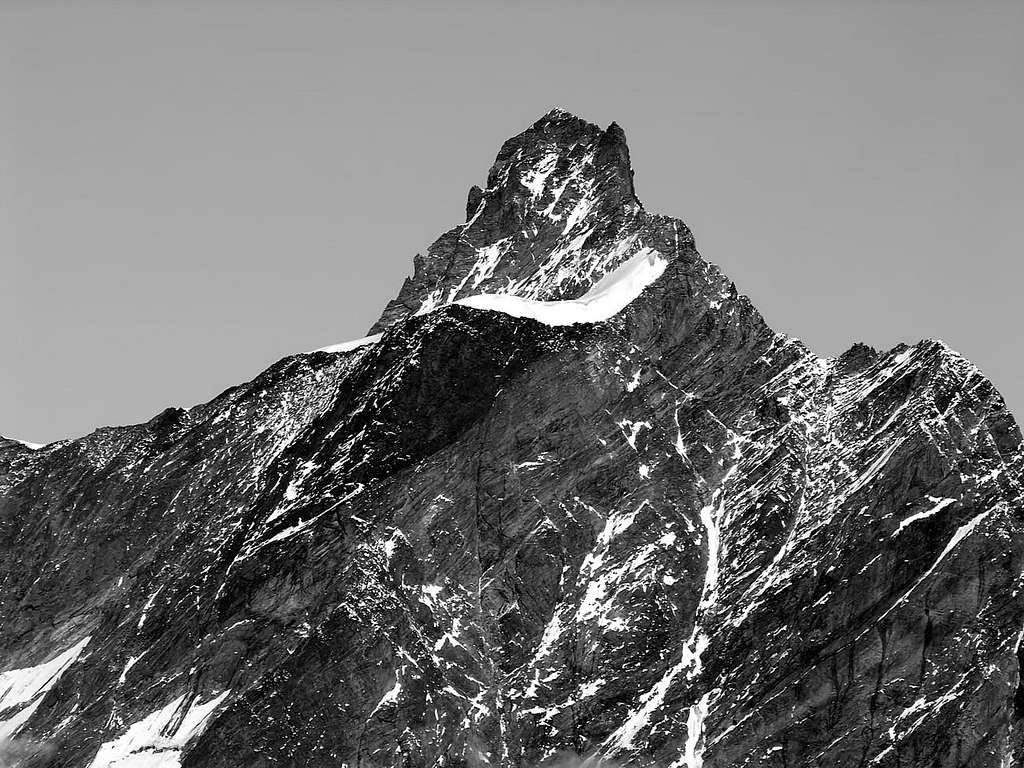 La Dent d'Hérens (4178 m), versante est