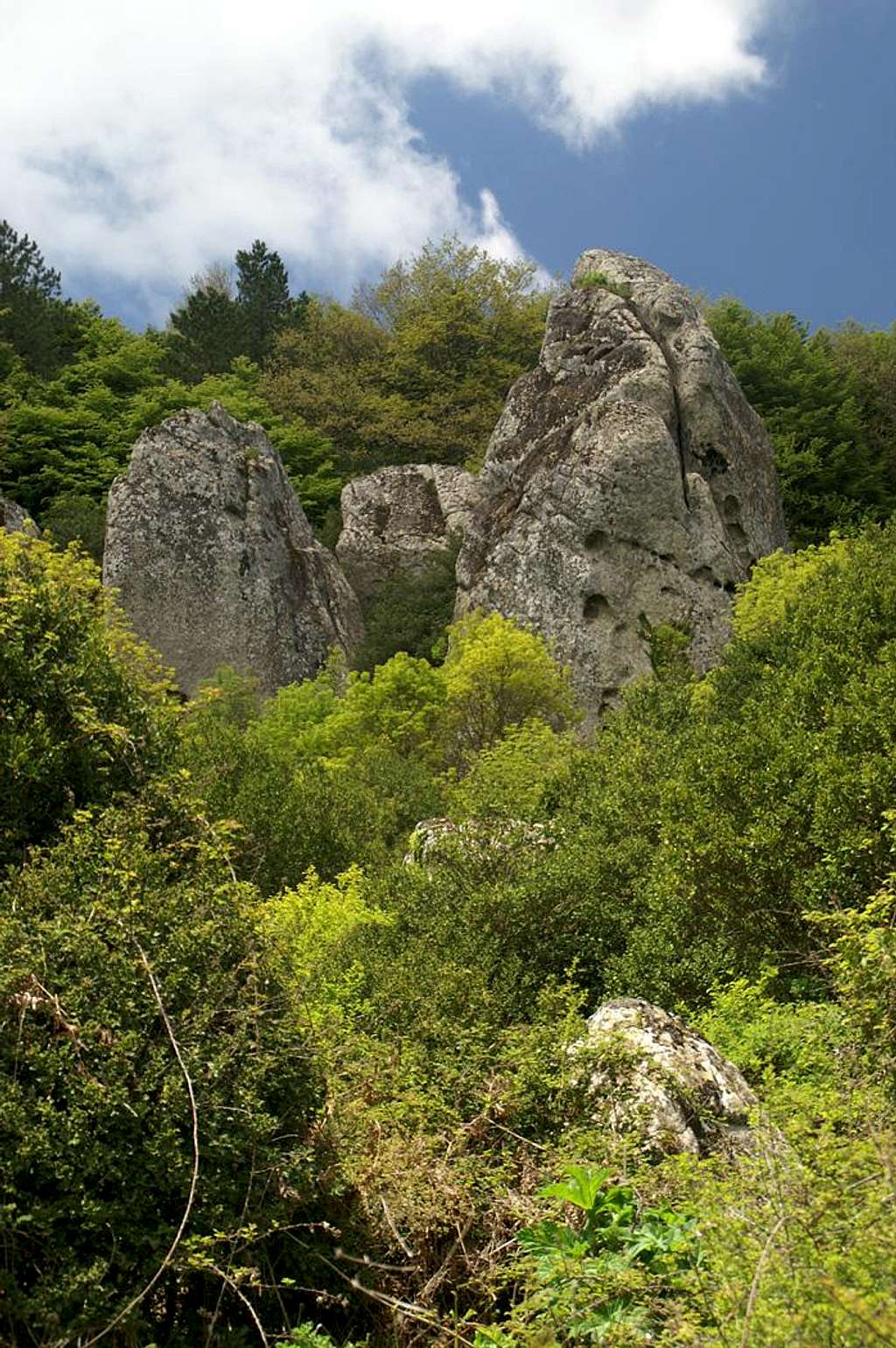 Granite boulders in the Monte Sambughetti east face