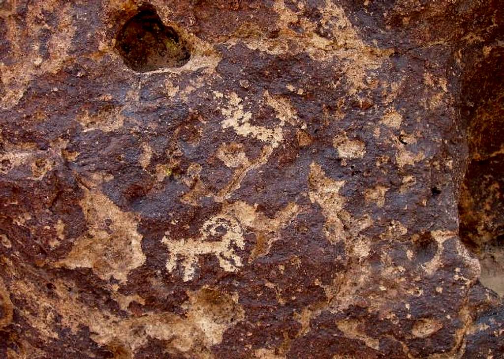 Bighorn Sheep Petroglyph