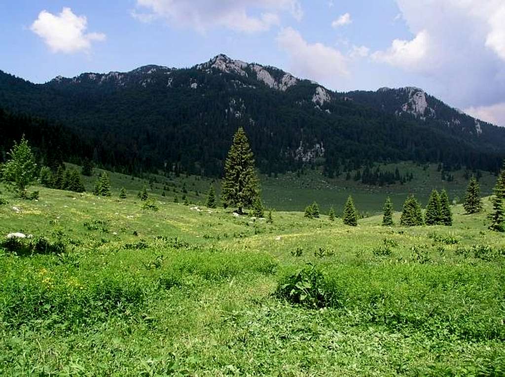 On Veliki Lubenovac field...