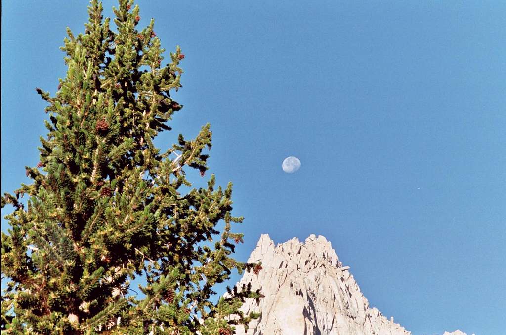 Mt. Irvine, Sierra Nevada, with a Full Moon at Dawn, Aug. 12, 2006