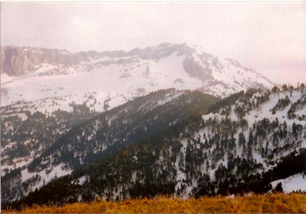 The rest of the ridgeline,the 2nd highest peak and the forest below them(21-2-2006)