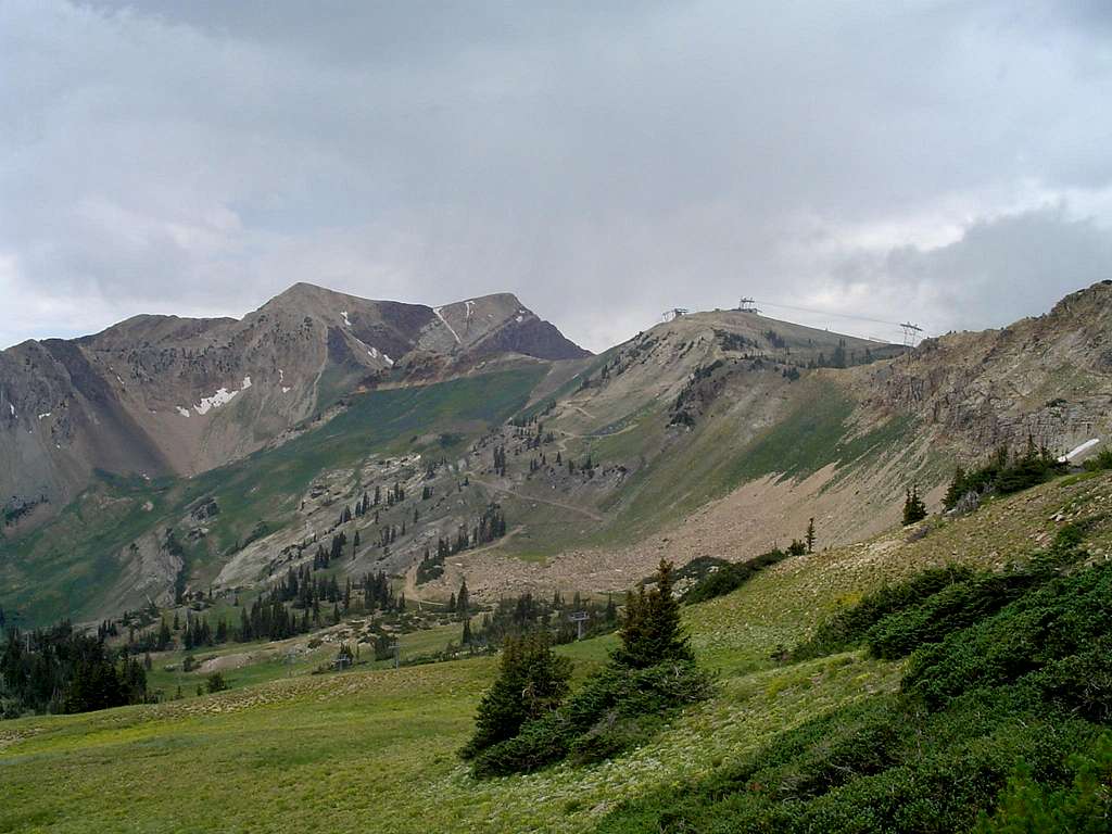 Twins from the east side of Mineral Basin 8-1-06