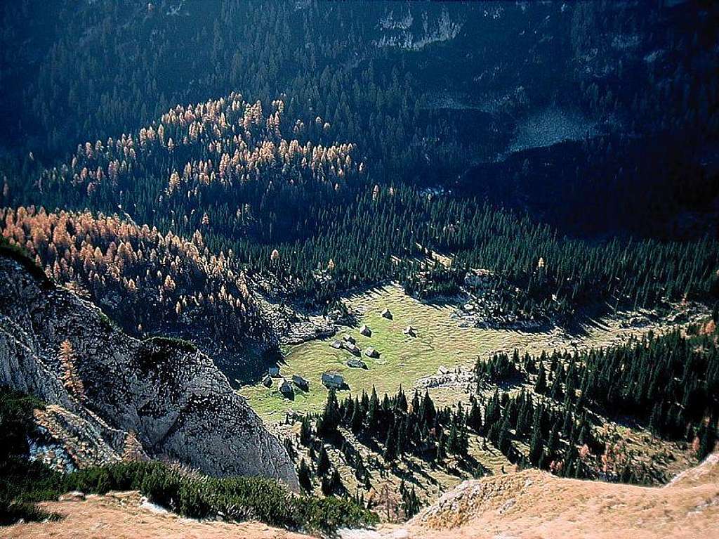 Laz alpine meadow