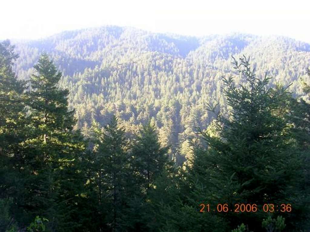 View from Mount Ellen