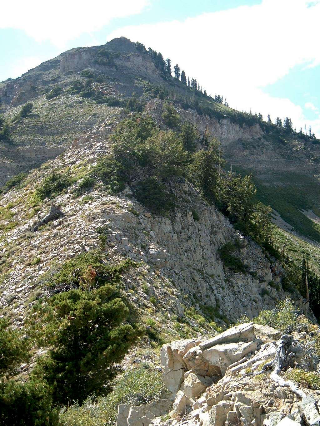 View of the Upper Portion of Sundance Ridge