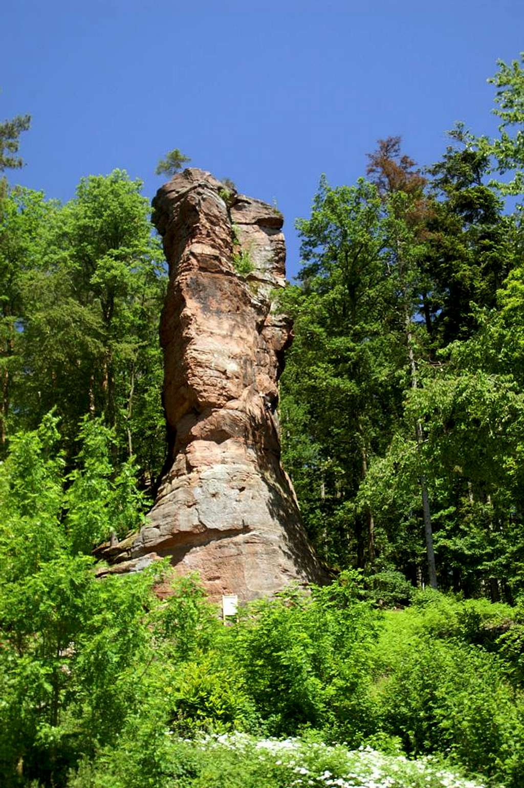 Fleckensteiner Turm