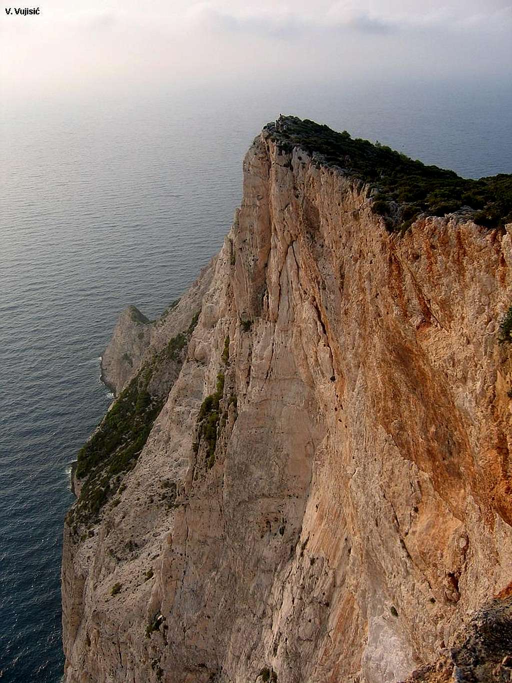 Cliffs above the sea
