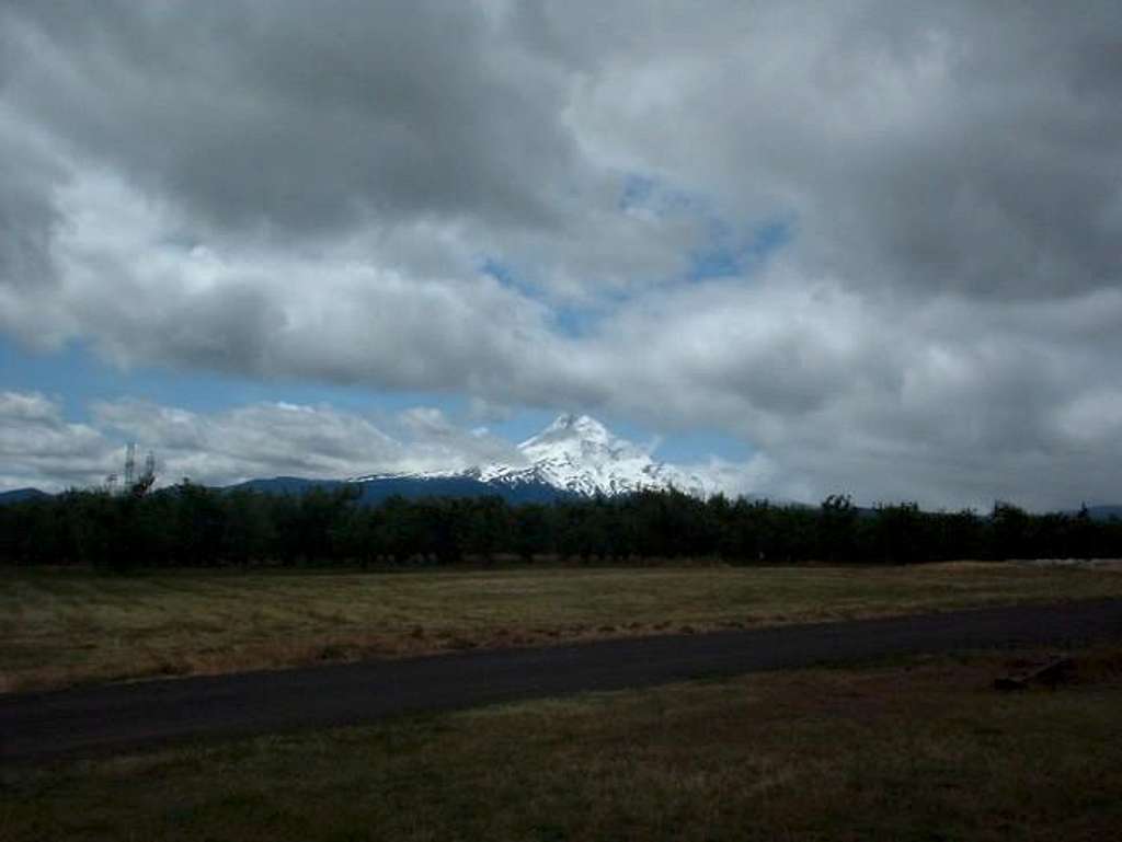 Looking at Mt. Hood from the...