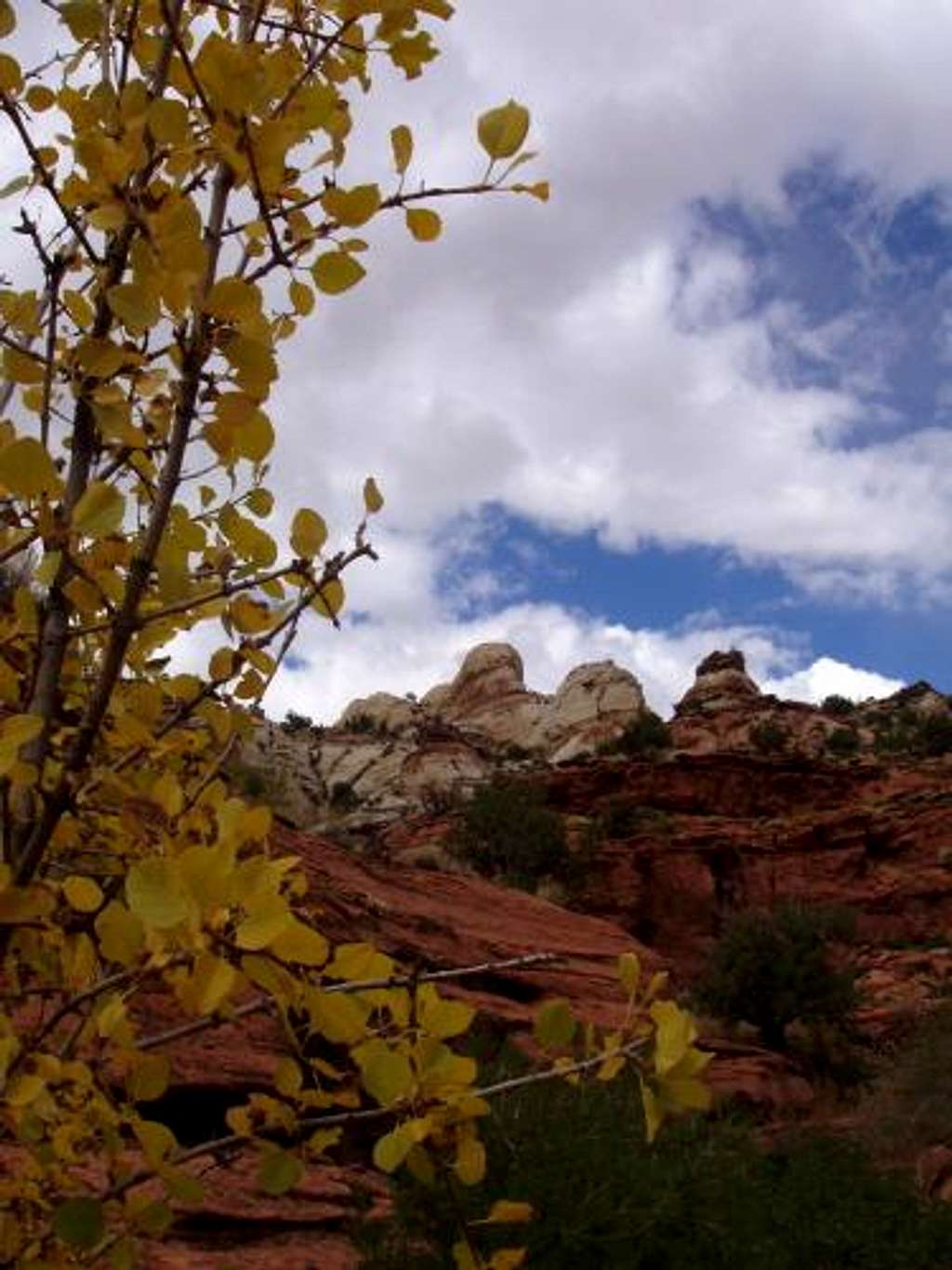 Calf Creek Scenery