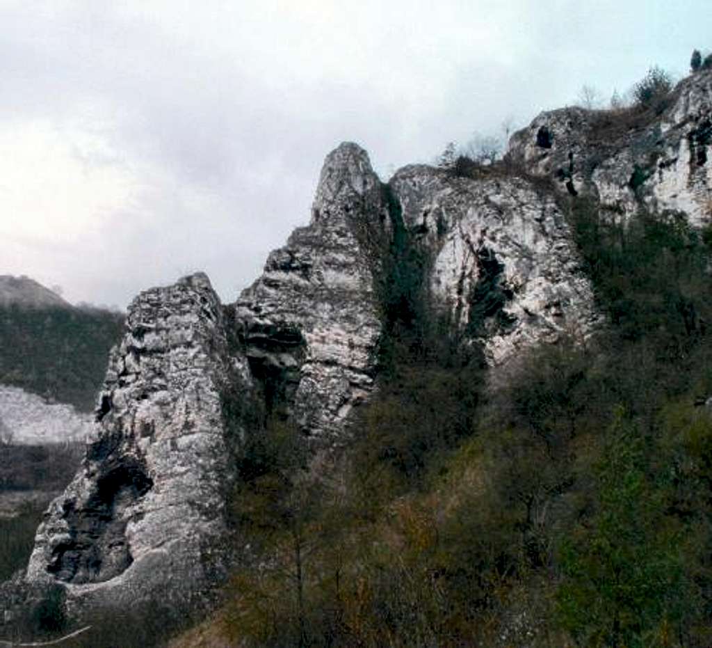 Berounka canyon - limestone crags