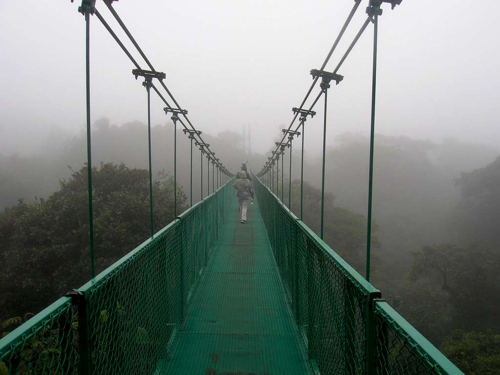 Monte Verde cloud forest in costa rica, elevation about 1 mile