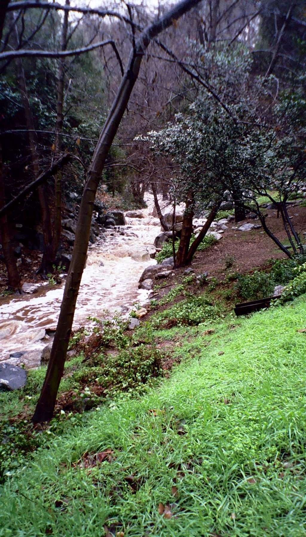 Stream Next to Millard Campground, San Gabriel Mountains