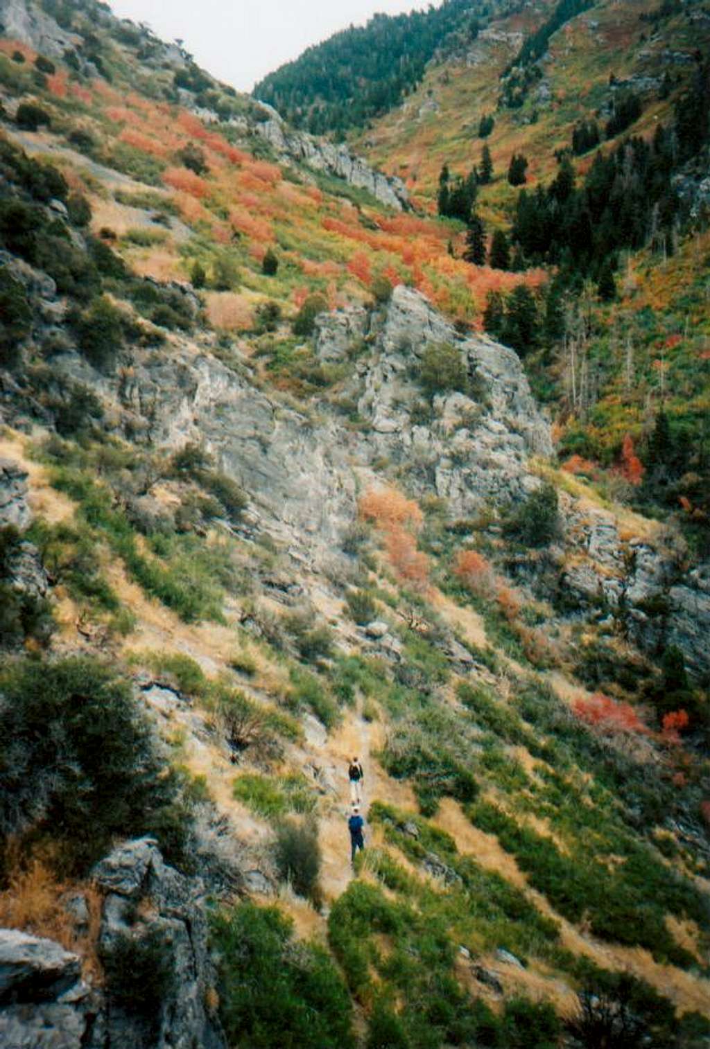 Hikers in canyon south of Y Mountain