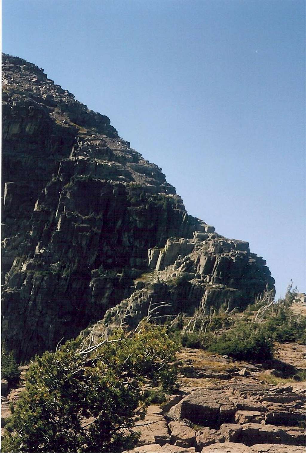 E. Ridge of Gray Wolf