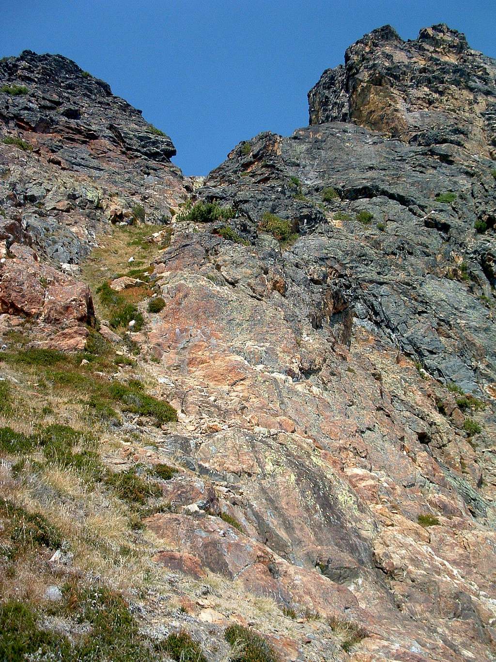 Looking up South Face Gully