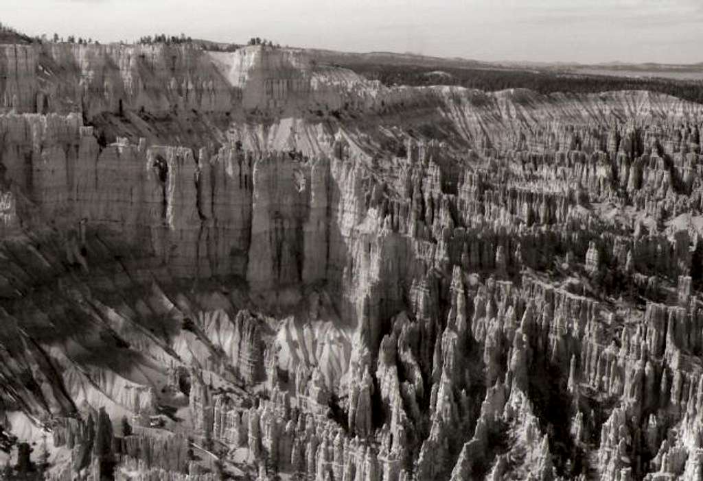 Bryce Canyon in Black & White