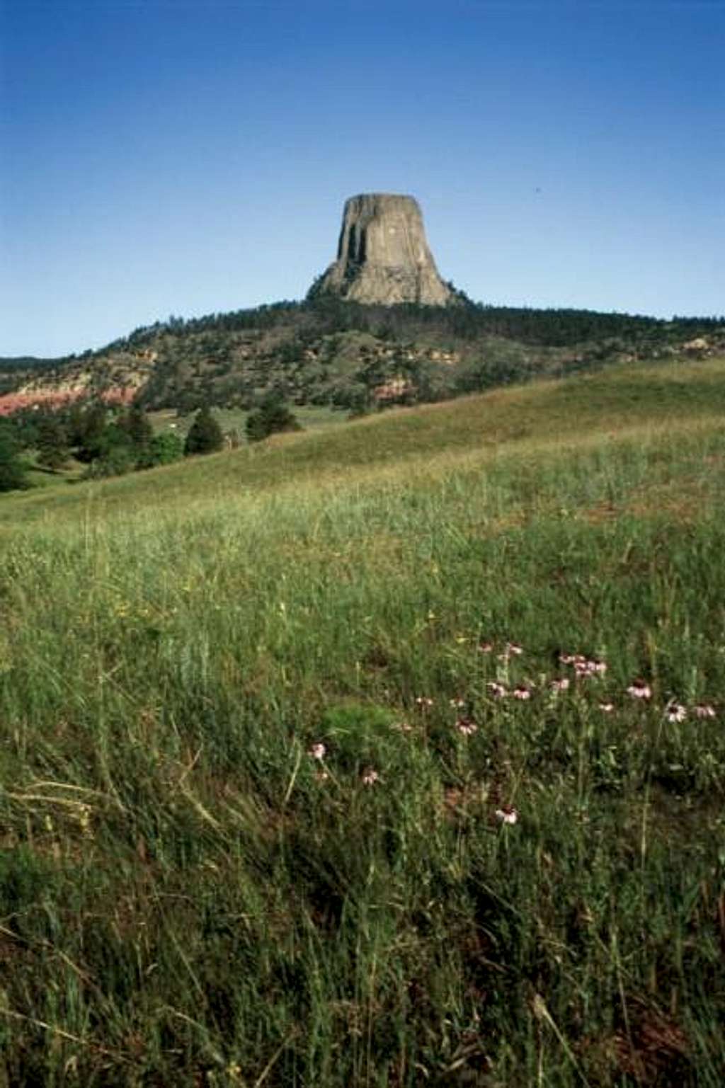 Devils Tower sticks up from...