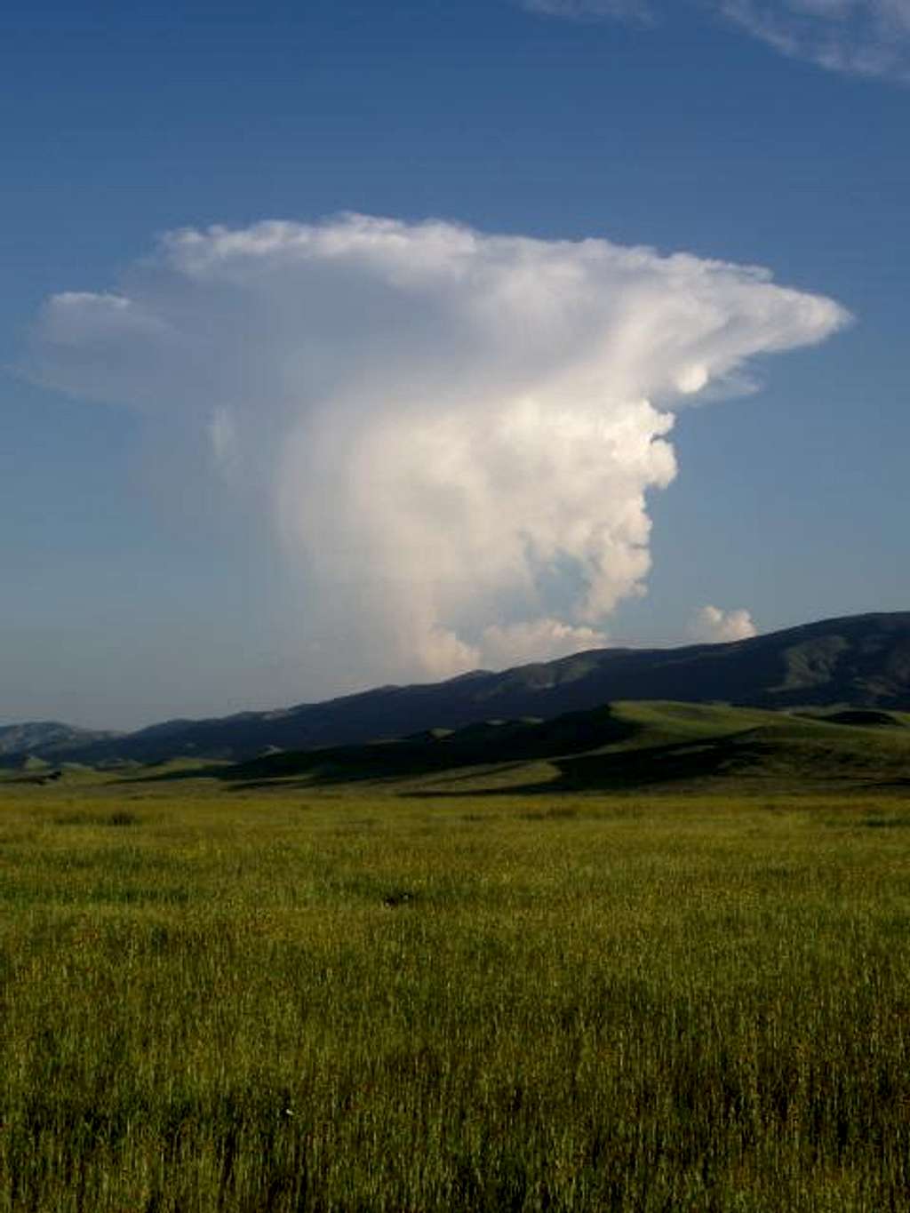 Carrizo Thunderhead