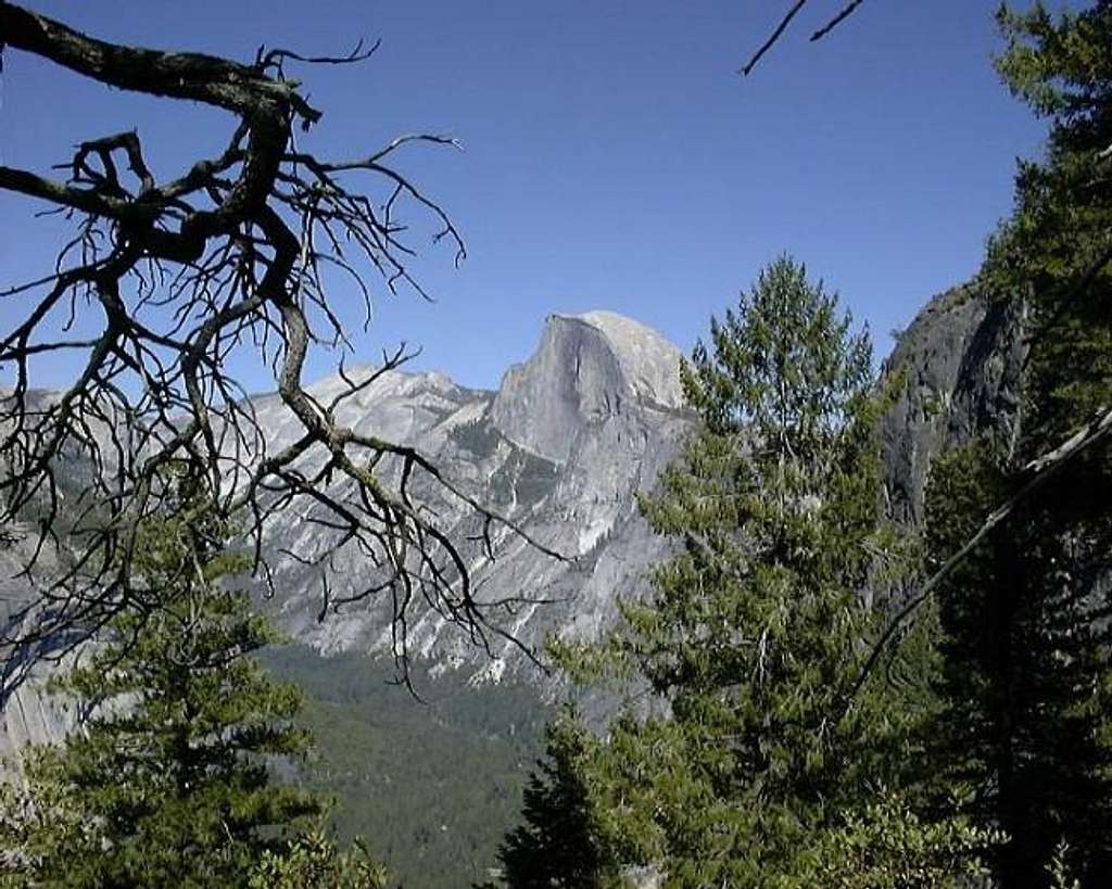 Half Dome from the Four Mile...