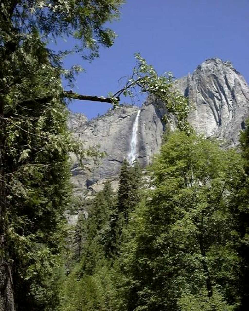 Upper Yosemite Falls from the...