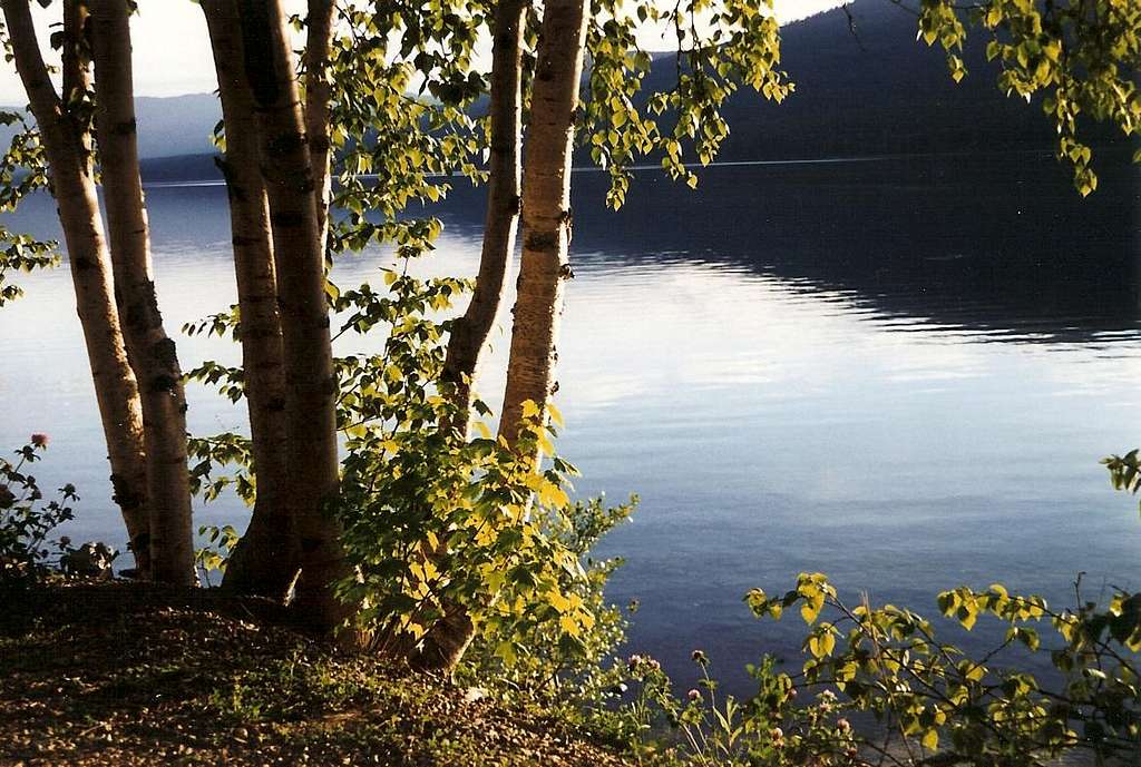 Aspens and Lake McDonald