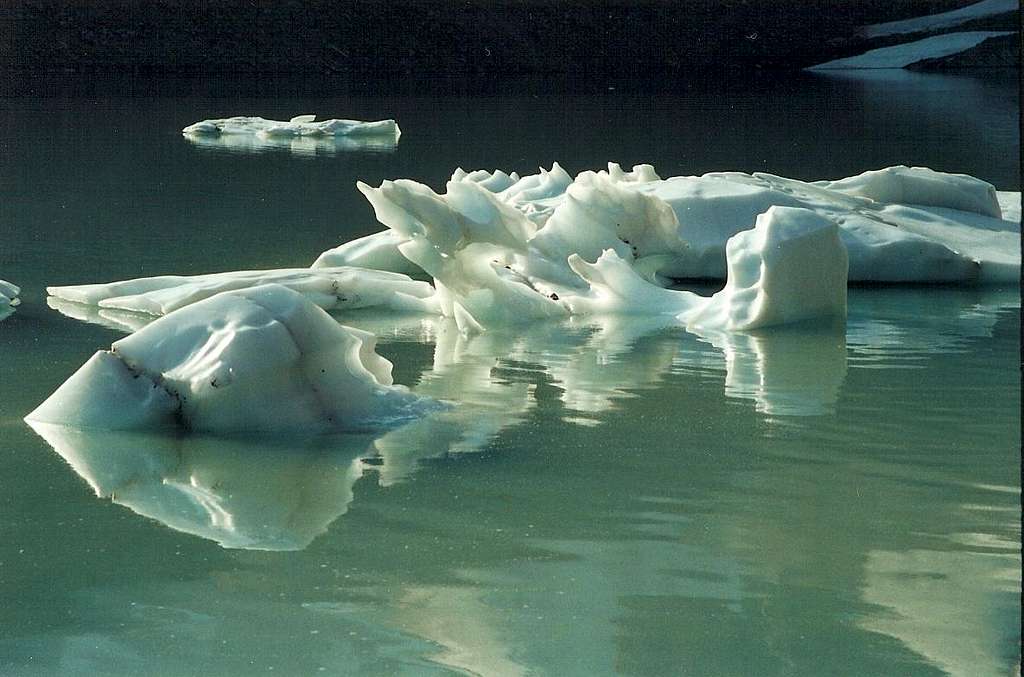 Icebergs in Cavell Pond