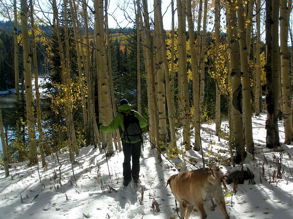 Aspens glow, snow shimmers, and Seth Skis in September!!!