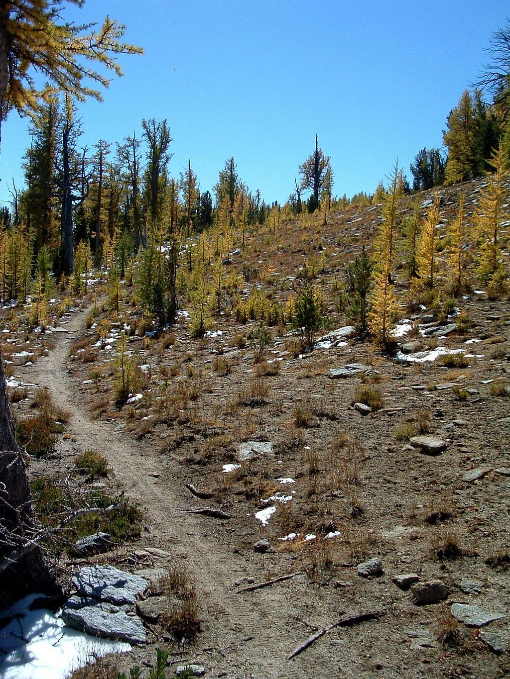 Trail Near Summit