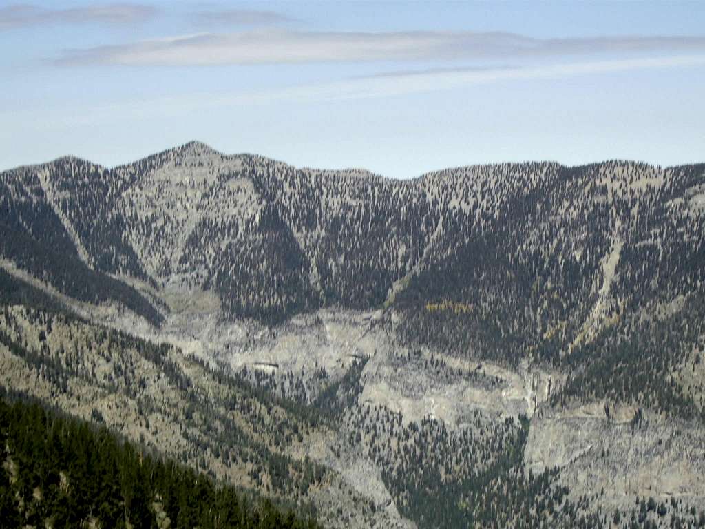 Griffith Peak field trip
