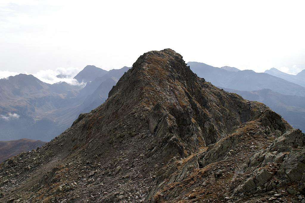 Gröllerspitze (2590m)