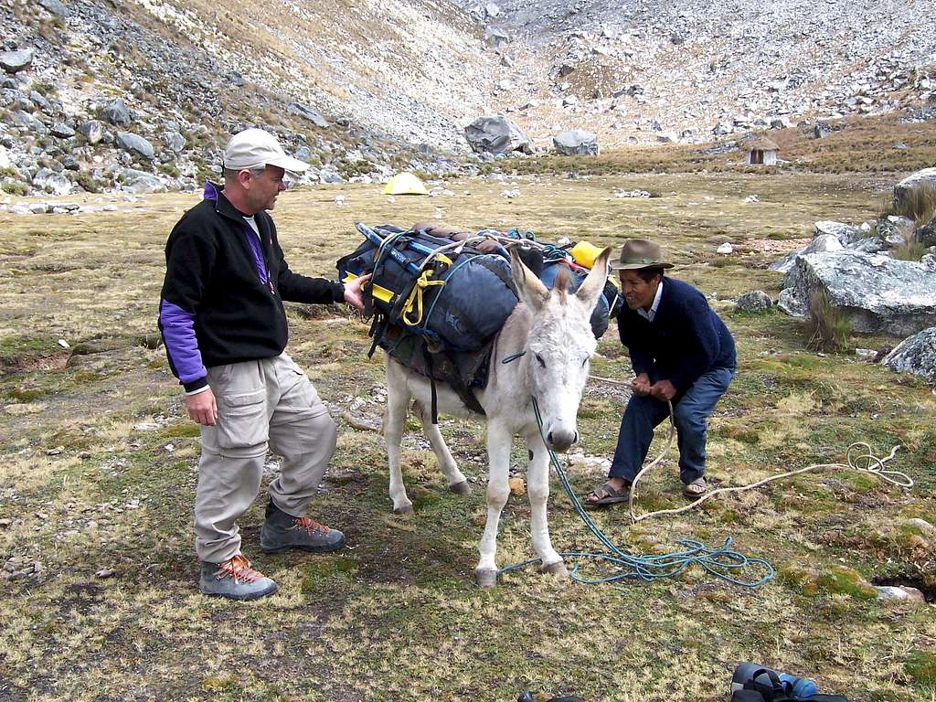 Pisco, Felix our arrieros & Donkey