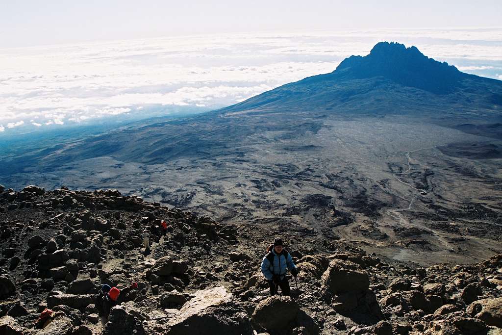 Kilimanjario
