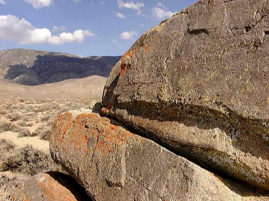 Lichen On Split Rock