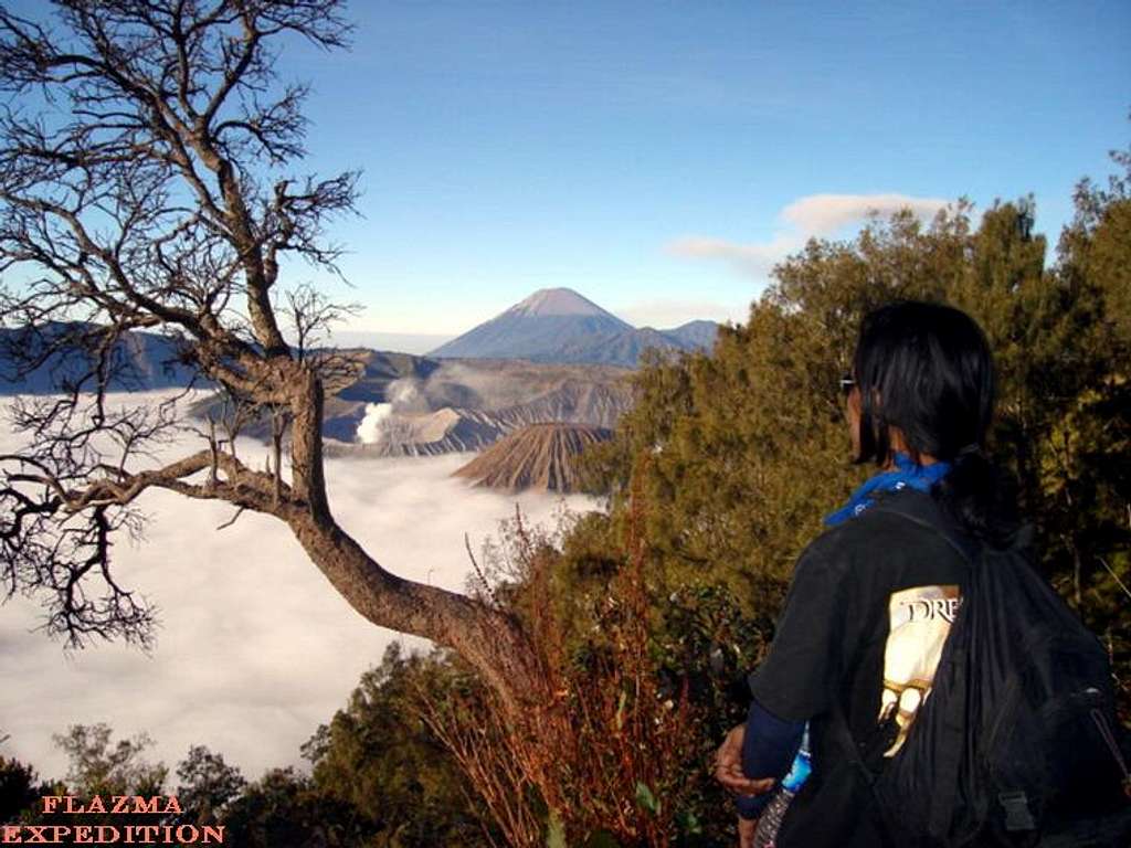 Bromo