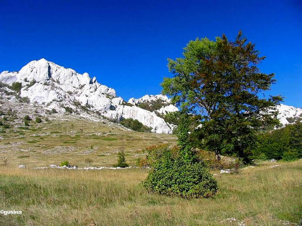 Velebit