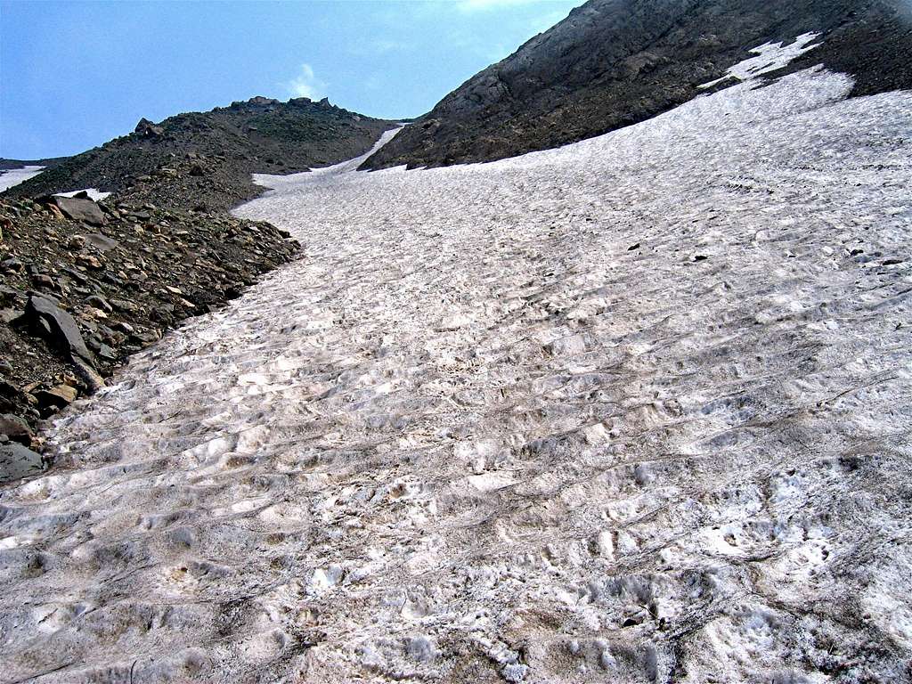 Snow Fields