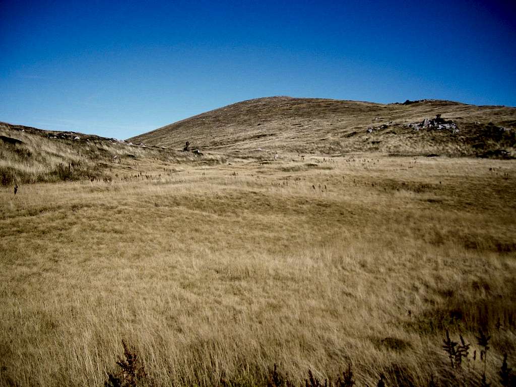 Prairie on northern Velebit