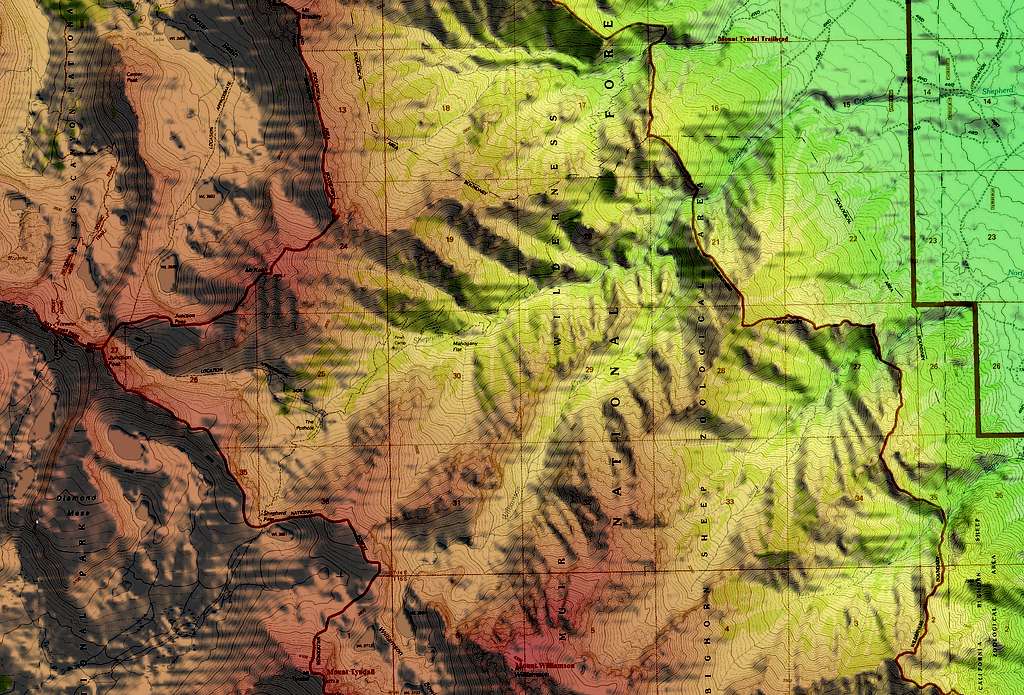 Mount Tyndal & Williamson