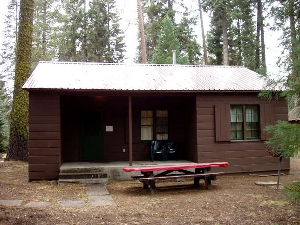 Quaking Aspen Cabin