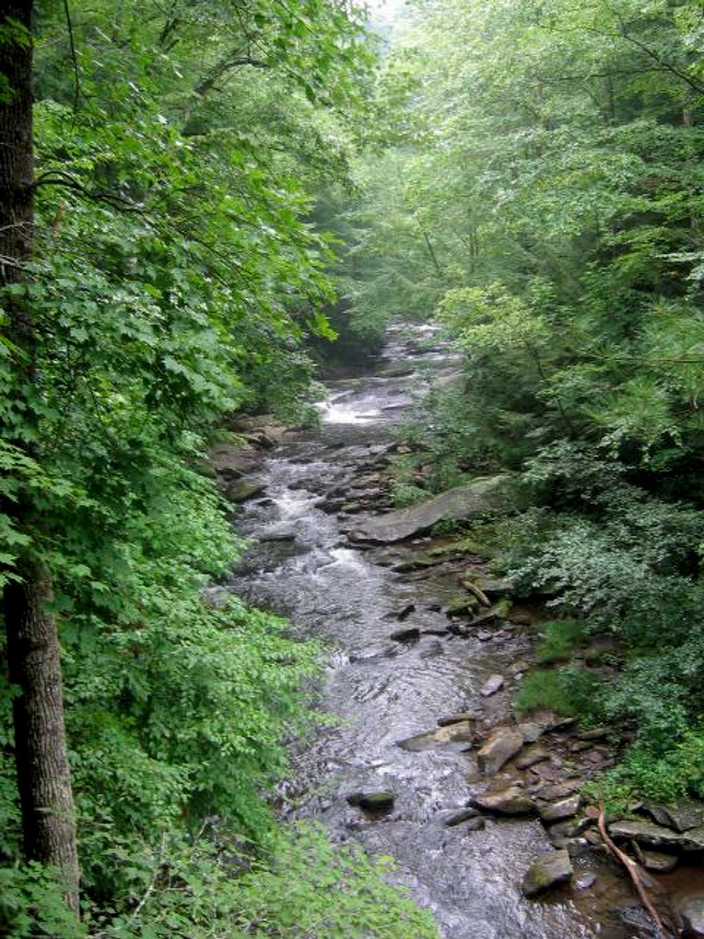 Bald River Gorge.