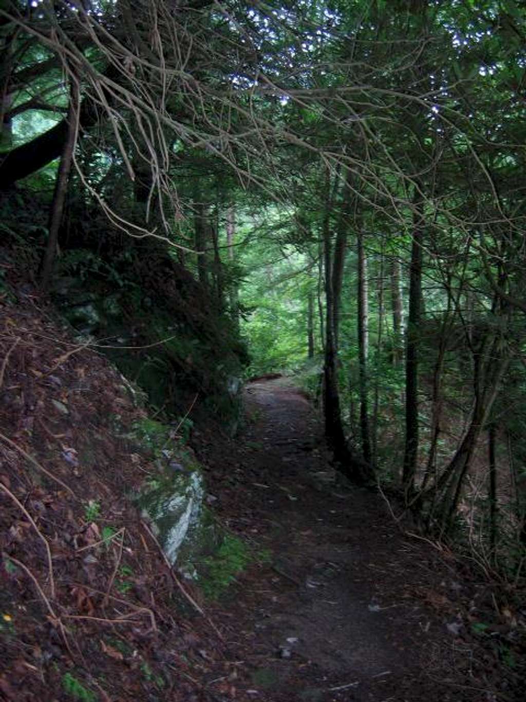 Bald River Gorge.