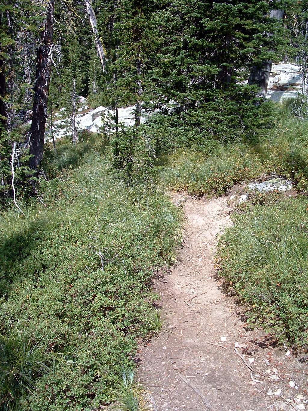 Trail to Middle Lake