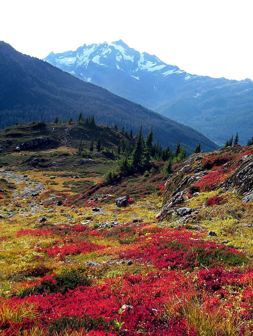 Mount Shuksan and Fall Colors