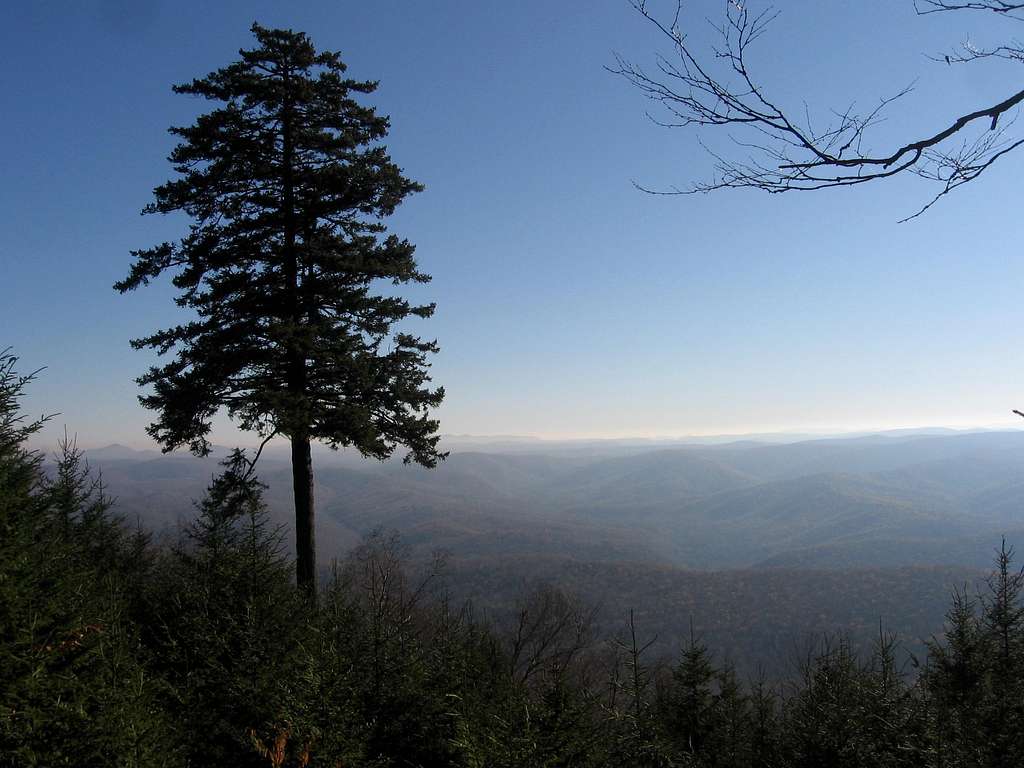 View from Gaudineer Knob