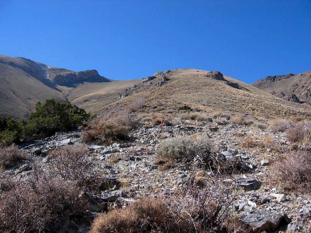 Halfway up the ridge