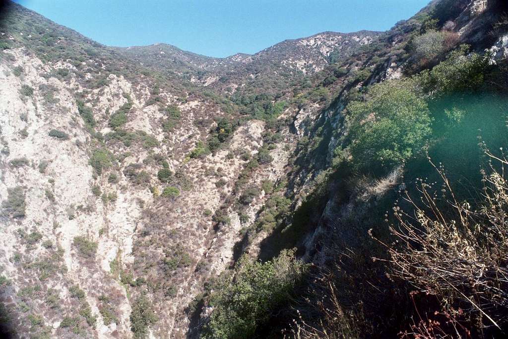 Looking up Bailey Canyon, San Gabriel Mtns.