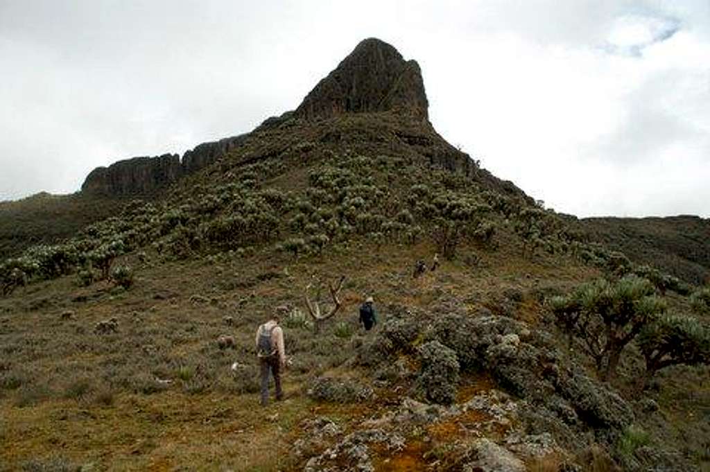 Mount Elgon - Koitoboss